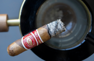 Romeo &  Julieta Twisted Toro