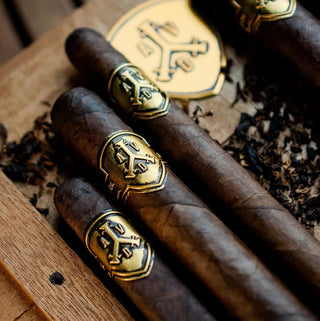 Adventura The Royal Return- The King's Gold Toro