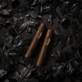 Adventura The Royal Return- The King's Gold Toro